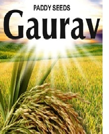 Device For Gaurav Device mark 5385544 Trademark