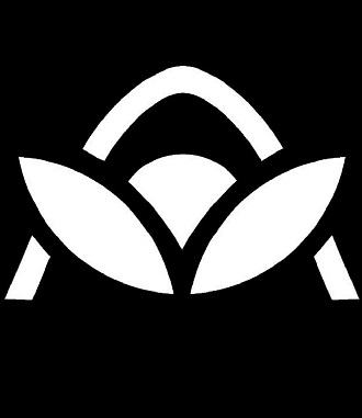 Device Device mark 5392365 Trademark