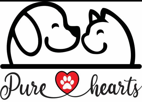Pure Hearts Device mark 5400344 Trademark