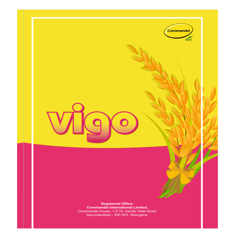 Vigo Device mark 5433890 Trademark