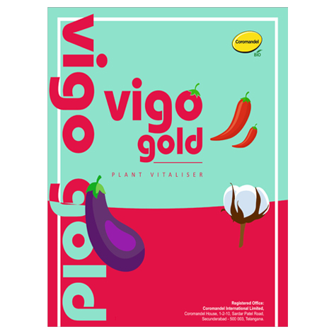 Vigo Gold Device mark 5433891 Trademark