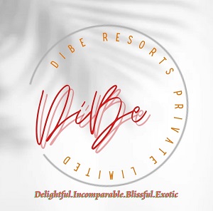 Dibe Device mark 5449540 Trademark