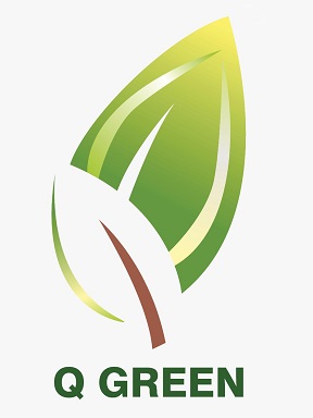 Q Green Device mark 5454248 Trademark