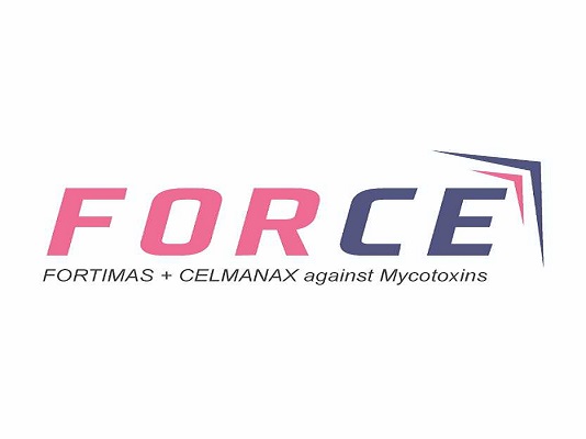 Force Device mark 5487339 Trademark