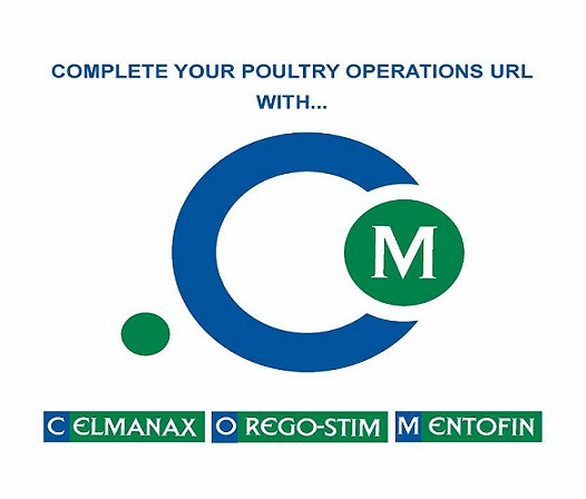 Dot Com Device mark 5487340 Trademark