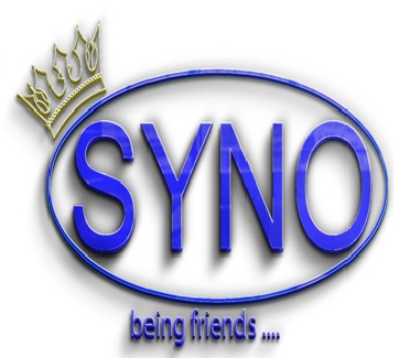 Syno Device mark 5488400 Trademark