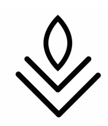 Device Device mark 5490653 Trademark