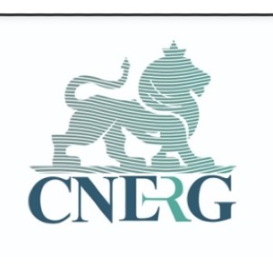 Cnerg Device mark 5528354 Trademark