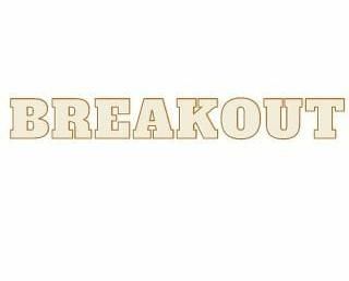Breakout Device mark 5528867 Trademark