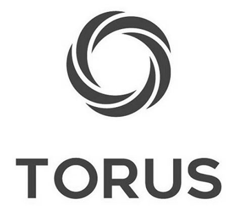Torus Device mark 5537742 Trademark