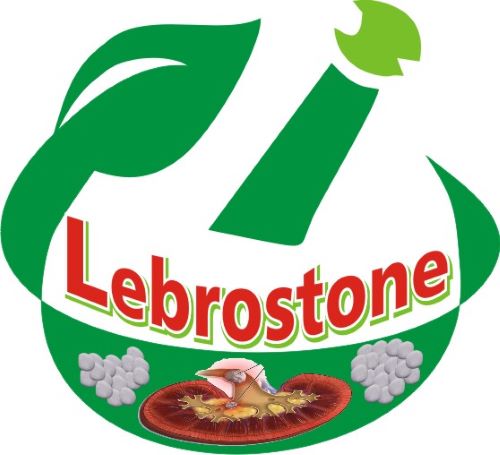 Lebrostone Device mark 5547270 Trademark