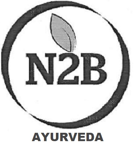 N2b Ayurveda Device mark 5555073 Trademark