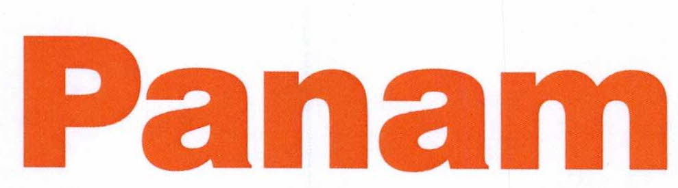 Panam Device mark 5565968 Trademark