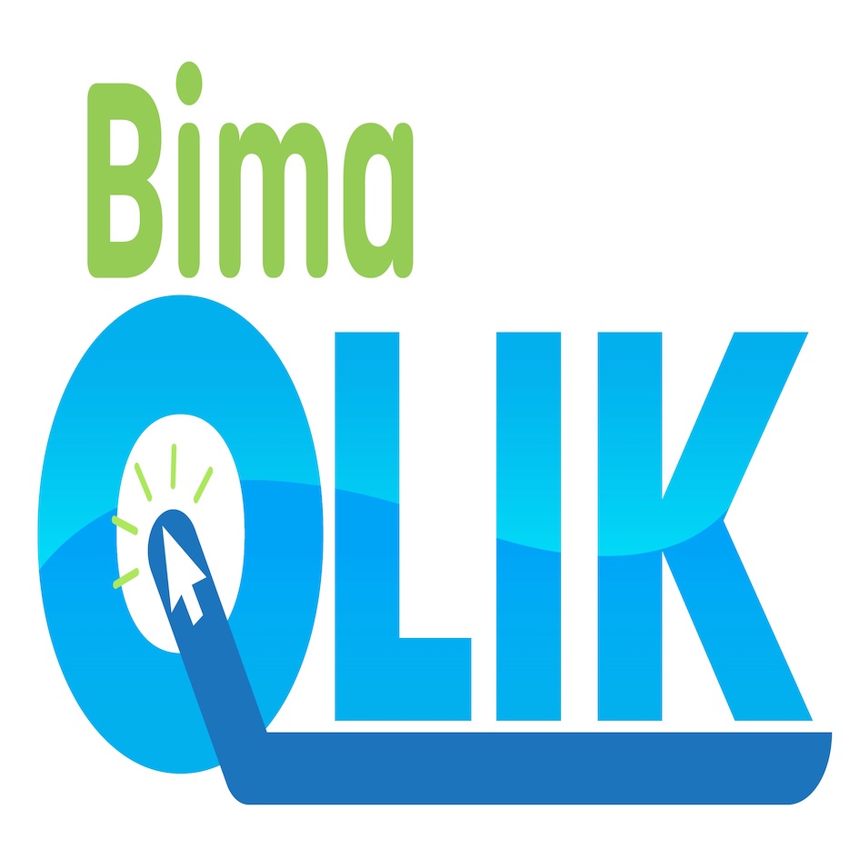 Bima Qlik Device mark 5578527 Trademark