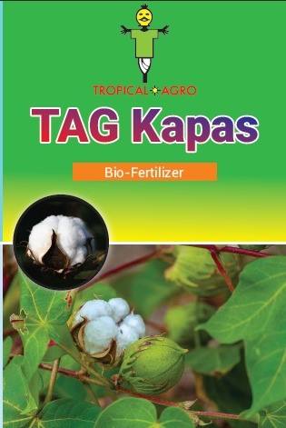 Tag Kapas Device mark 5202377 Trademark