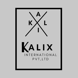 Kalix International Private Limited Device mark 5262110 Trademark
