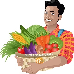 Shivaang Naturals Device mark 5273935 Trademark