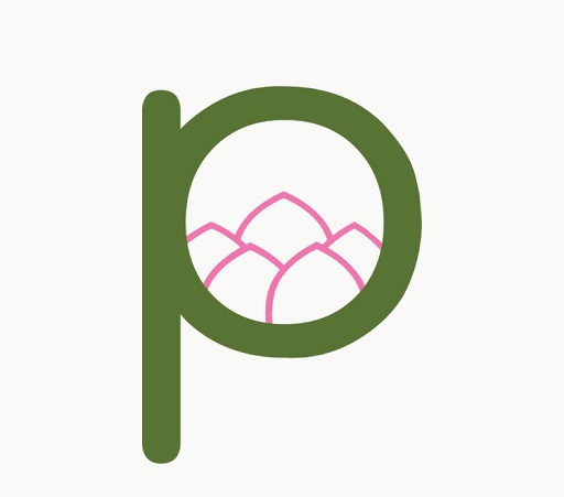 Device Of P Device mark 5276024 Trademark