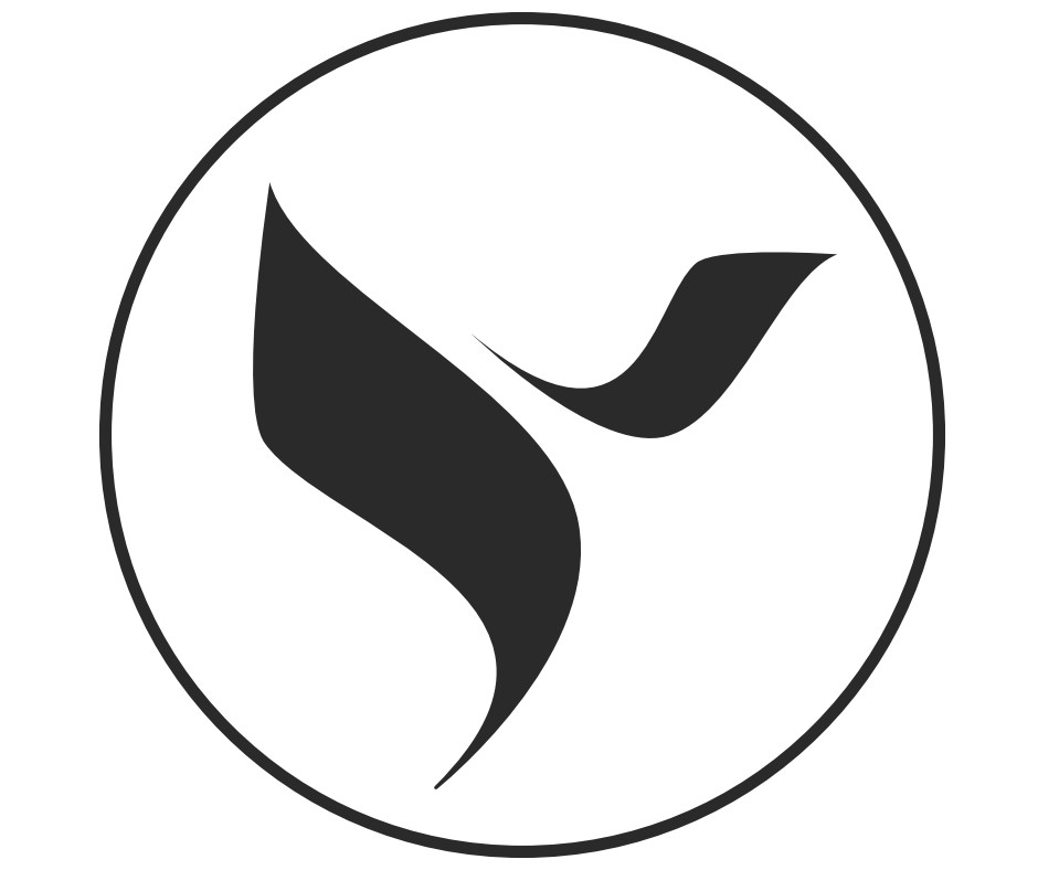 Y (device) Device mark 5290926 Trademark