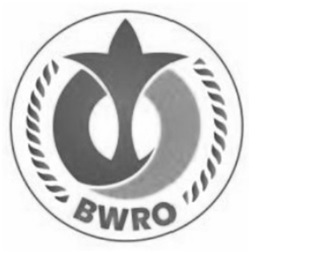 Bwro Device mark 5291359 Trademark