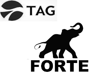 Tag Forte Device mark 5594719 Trademark