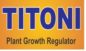 Titoni Device mark 5620342 Trademark