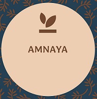 Amnaya Device mark 5626631 Trademark