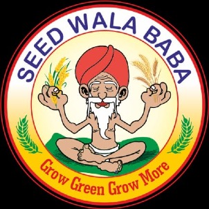 Seedwala Baba Device mark 5608505 Trademark