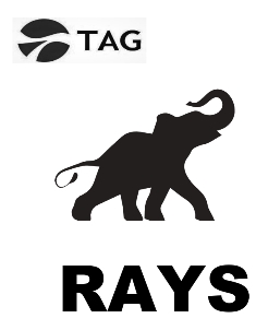 Tag Rays Device mark 5631084 Trademark