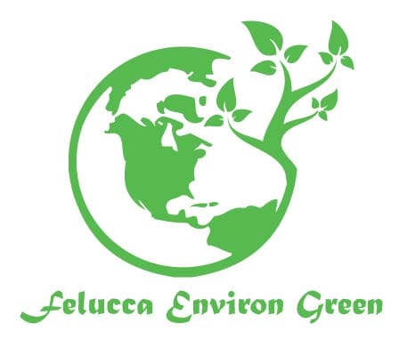 Felucca Environ Green Device mark 5633912 Trademark