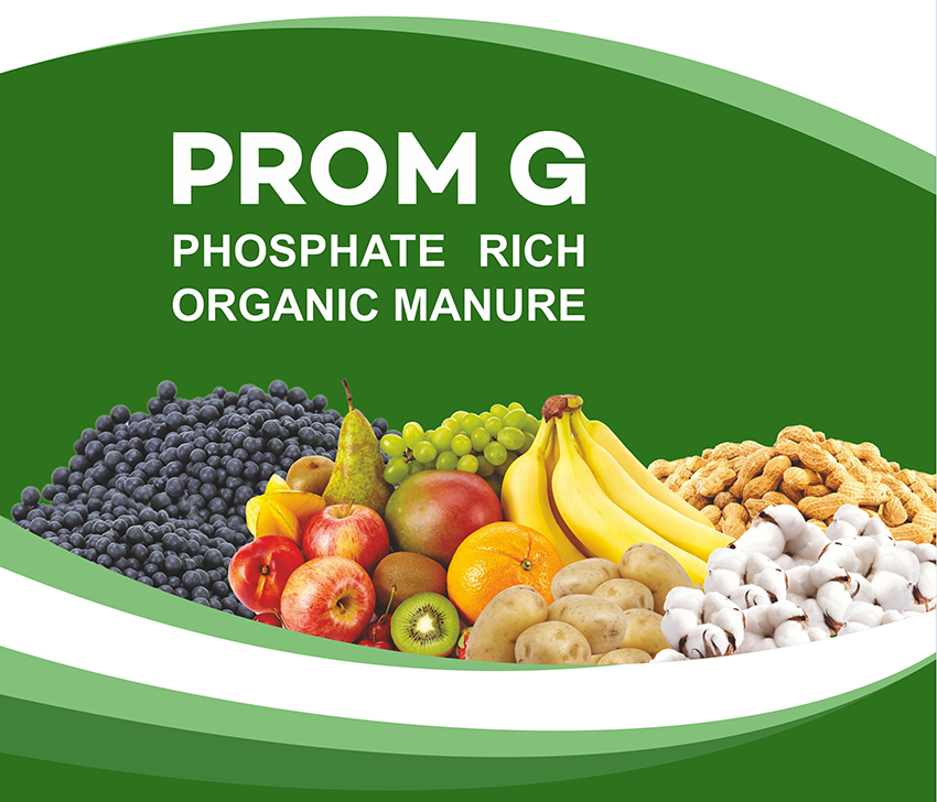 Prom G Device mark 5646307 Trademark