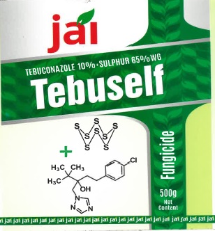 Tebuself Device mark 5656132 Trademark