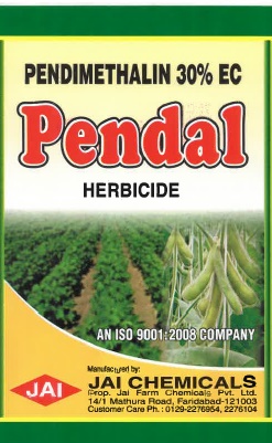 Pendal Device mark 5656142 Trademark