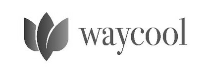 Waycool Device mark 5659712 Trademark