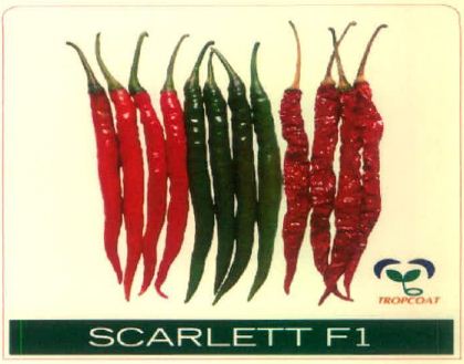 Scarlett F1 (device Of Hotpepper) Device mark 5678176 Trademark