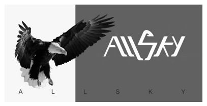 Allsky Device mark 5683360 Trademark