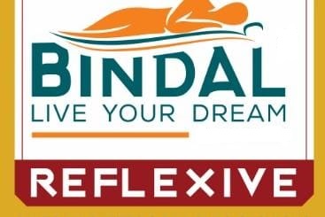 Bindal Reflexive Device mark 5697979 Trademark