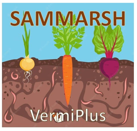 Sammarsh Device mark 5713952 Trademark
