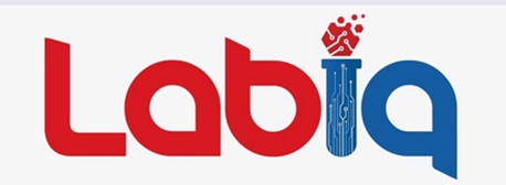 Labiq Device mark 5715328 Trademark