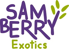 Sam Berry Exotics (logo) Device mark 5722366 Trademark