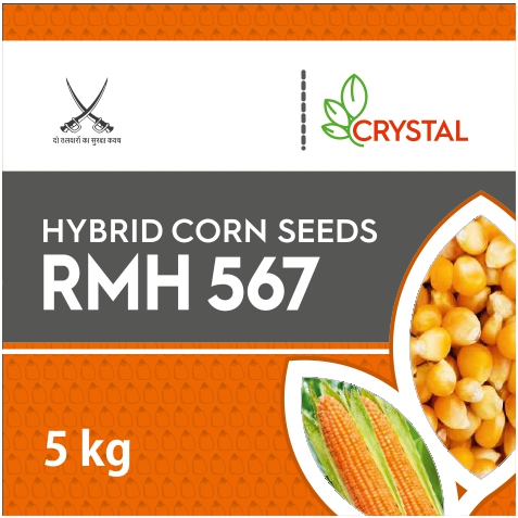 Rmh 567 Device mark 5760250 Trademark