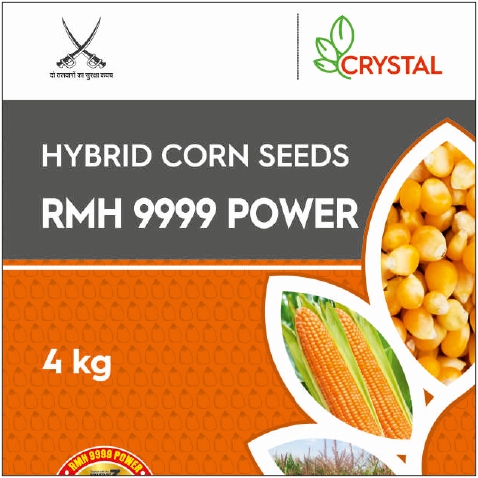 Rmh 9999 Power Device mark 5760256 Trademark