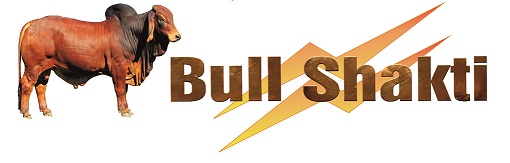 Bull Shakti Device mark 5779199 Trademark
