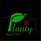 Planty Homes Device mark 5788029 Trademark