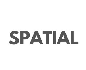 Spatial Device mark 5818420 Trademark