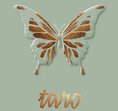 Taro Device mark 5848609 Trademark