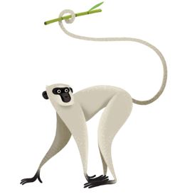 Device Device mark 5852762 Trademark