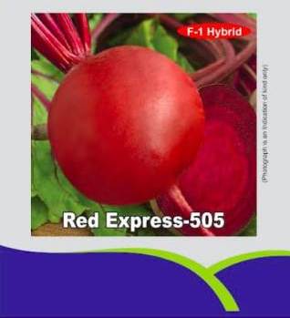 Red Express - 505 Device mark 5859267 Trademark