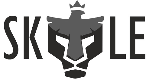 Skyle Device mark 5861496 Trademark