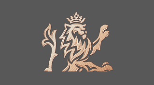 Device Mark Device mark 5866704 Trademark